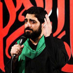 سید مجید بنی فاطمه همره اهل حرم خون خدا